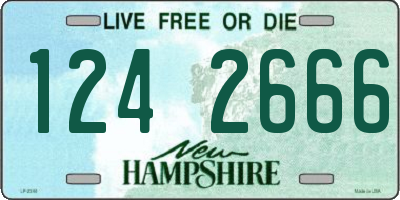 NH license plate 1242666