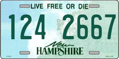 NH license plate 1242667