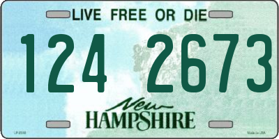 NH license plate 1242673
