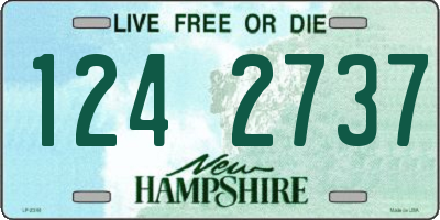 NH license plate 1242737