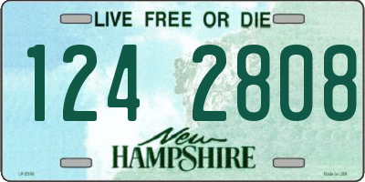 NH license plate 1242808