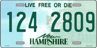NH license plate 1242809