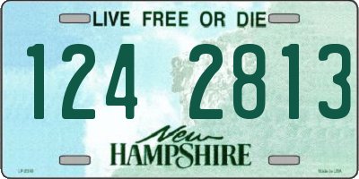 NH license plate 1242813