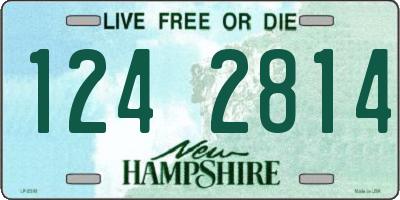 NH license plate 1242814