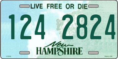 NH license plate 1242824