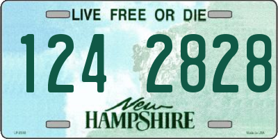 NH license plate 1242828