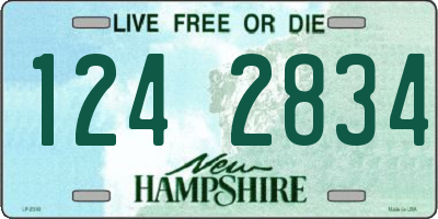 NH license plate 1242834