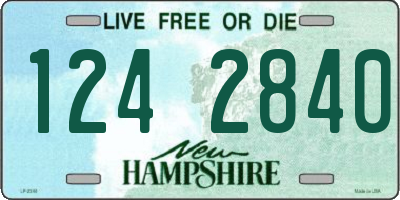 NH license plate 1242840