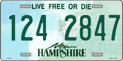 NH license plate 1242847
