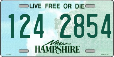 NH license plate 1242854
