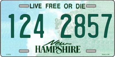 NH license plate 1242857