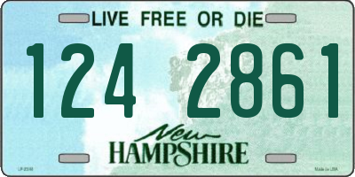 NH license plate 1242861