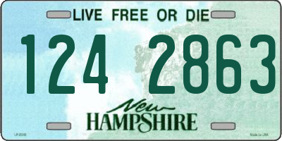 NH license plate 1242863