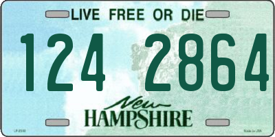 NH license plate 1242864
