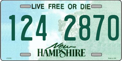 NH license plate 1242870