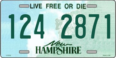 NH license plate 1242871