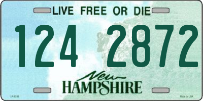 NH license plate 1242872