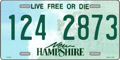 NH license plate 1242873