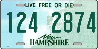 NH license plate 1242874