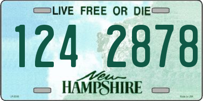 NH license plate 1242878