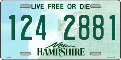 NH license plate 1242881
