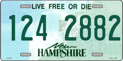 NH license plate 1242882