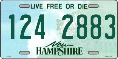 NH license plate 1242883