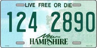 NH license plate 1242890