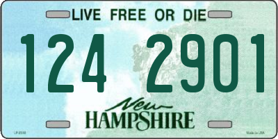 NH license plate 1242901