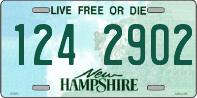 NH license plate 1242902