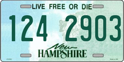 NH license plate 1242903