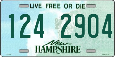 NH license plate 1242904