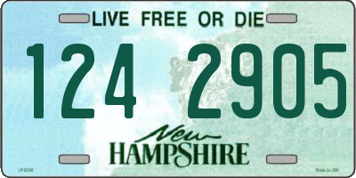 NH license plate 1242905