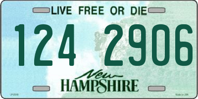 NH license plate 1242906