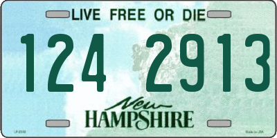 NH license plate 1242913