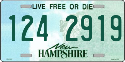 NH license plate 1242919