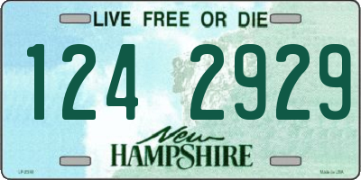 NH license plate 1242929