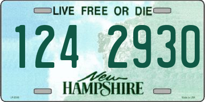 NH license plate 1242930