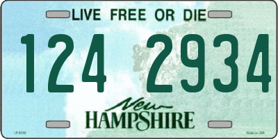 NH license plate 1242934