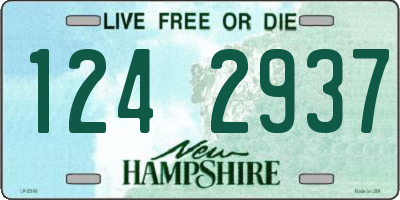 NH license plate 1242937