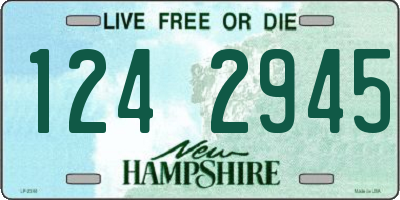 NH license plate 1242945