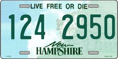 NH license plate 1242950
