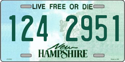 NH license plate 1242951