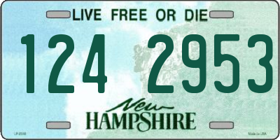 NH license plate 1242953