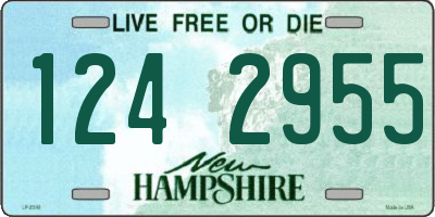 NH license plate 1242955