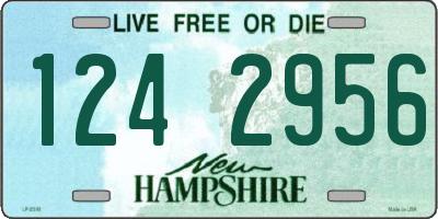 NH license plate 1242956