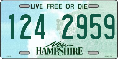 NH license plate 1242959