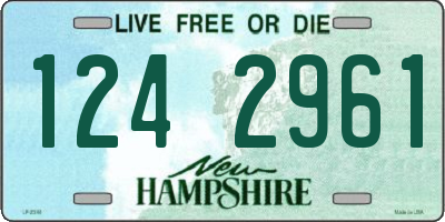 NH license plate 1242961