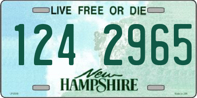 NH license plate 1242965