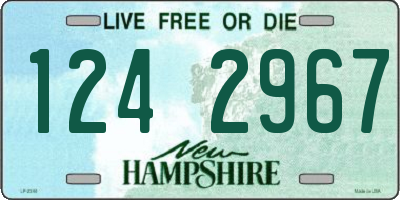 NH license plate 1242967